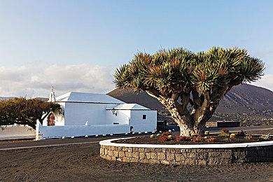 KK官方对战平台火爆生存新图《进化吧僵尸》上线！塔防守城狂虐僵尸！