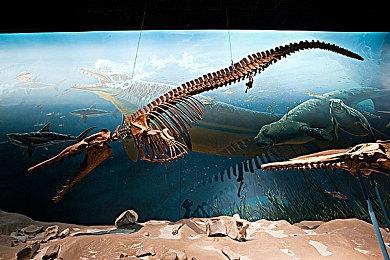 Valve员工人均收入远高于其他知名科技公司