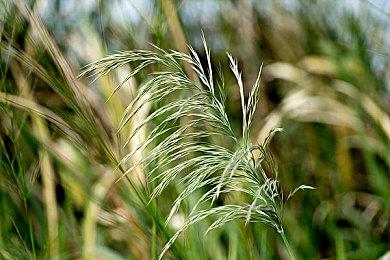 《兽人必须死！3》新DLC预告 4月7日正式上线